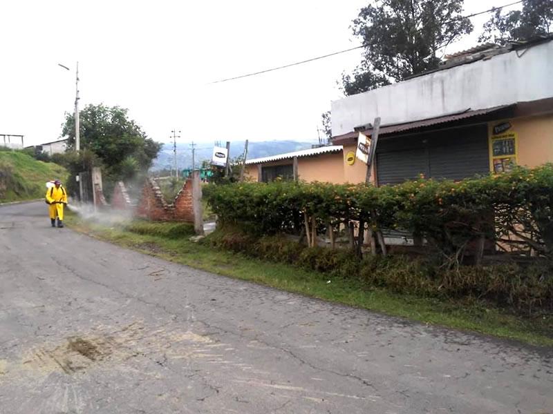 fumigacion6 1