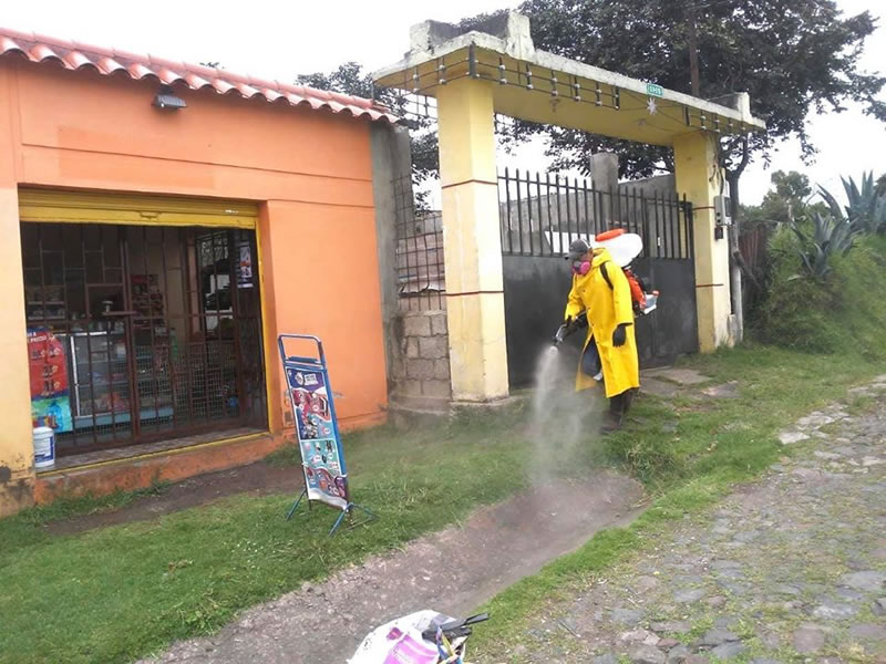 fumigacion 1