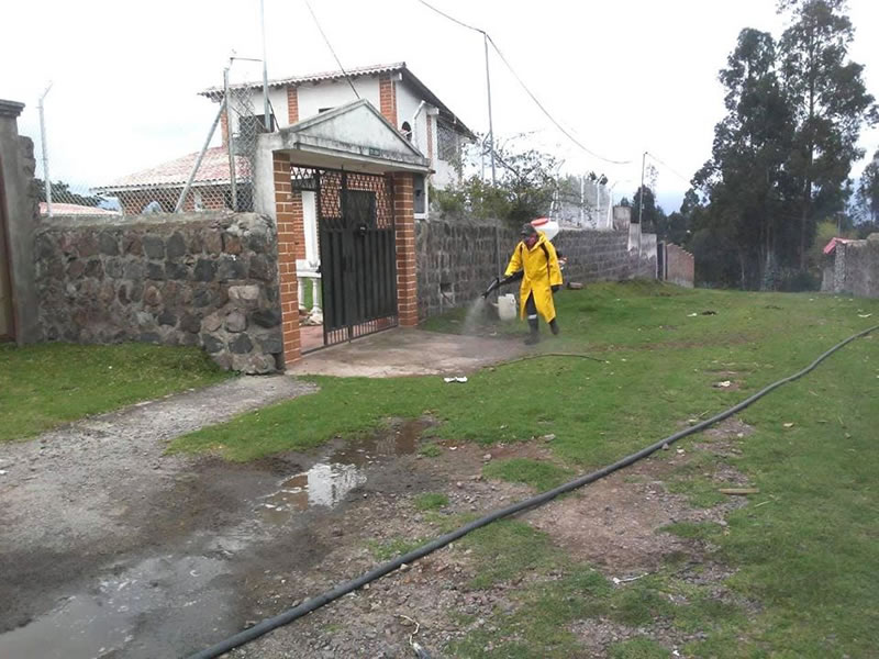 fumigacion 1