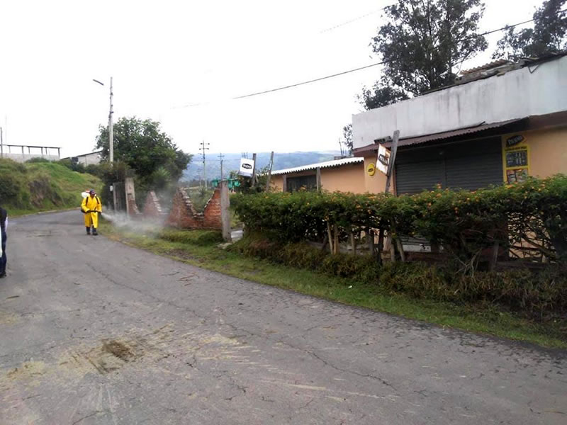 fumigacion4 1