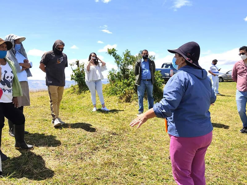 Plan de Reactivación Turística