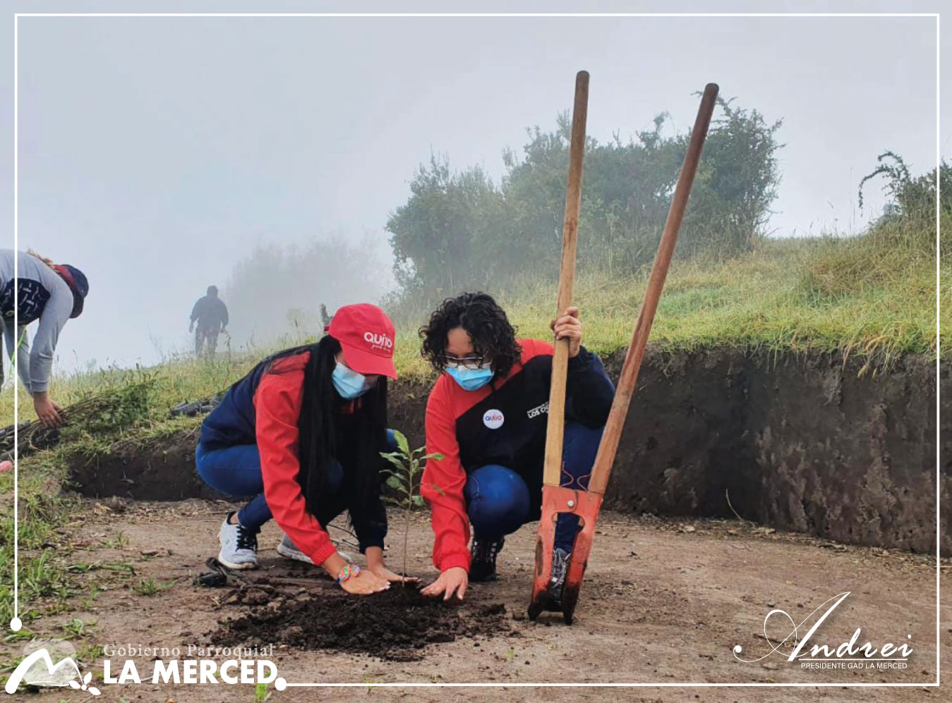 REFORESTACIÓN - COMUNA SAN FRANCISCO DE BAÑOS 