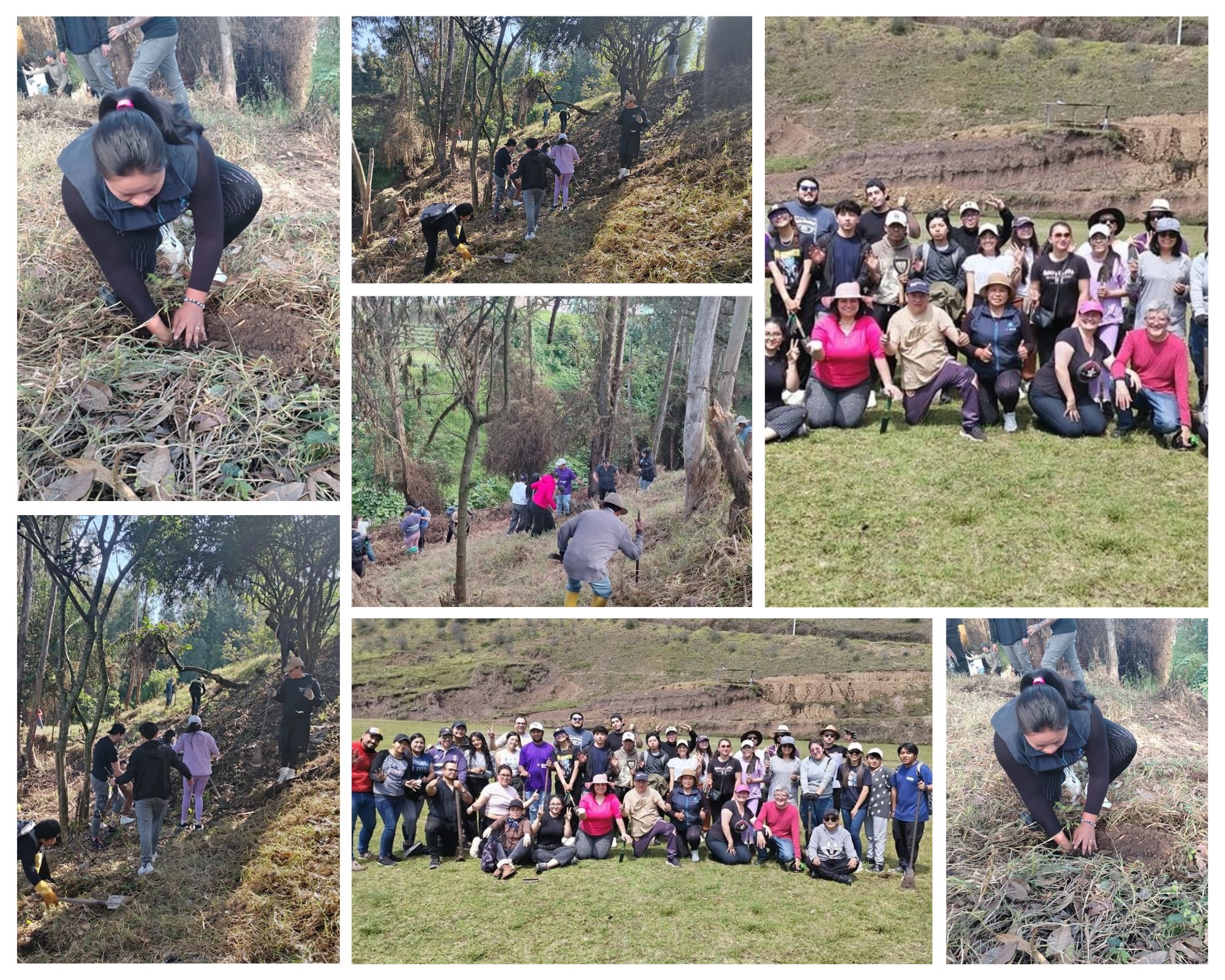 JORNADA DE REFORESTACIÓN