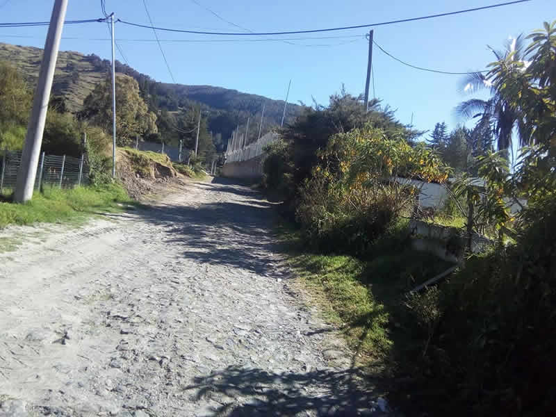bordillo