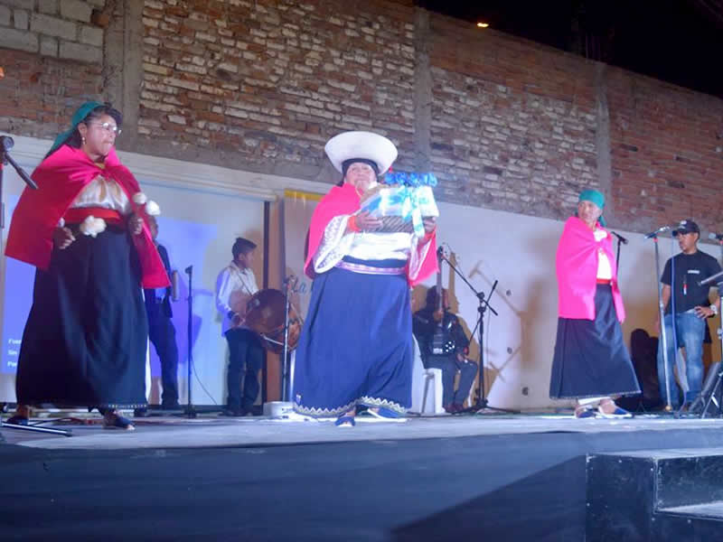elec madre4