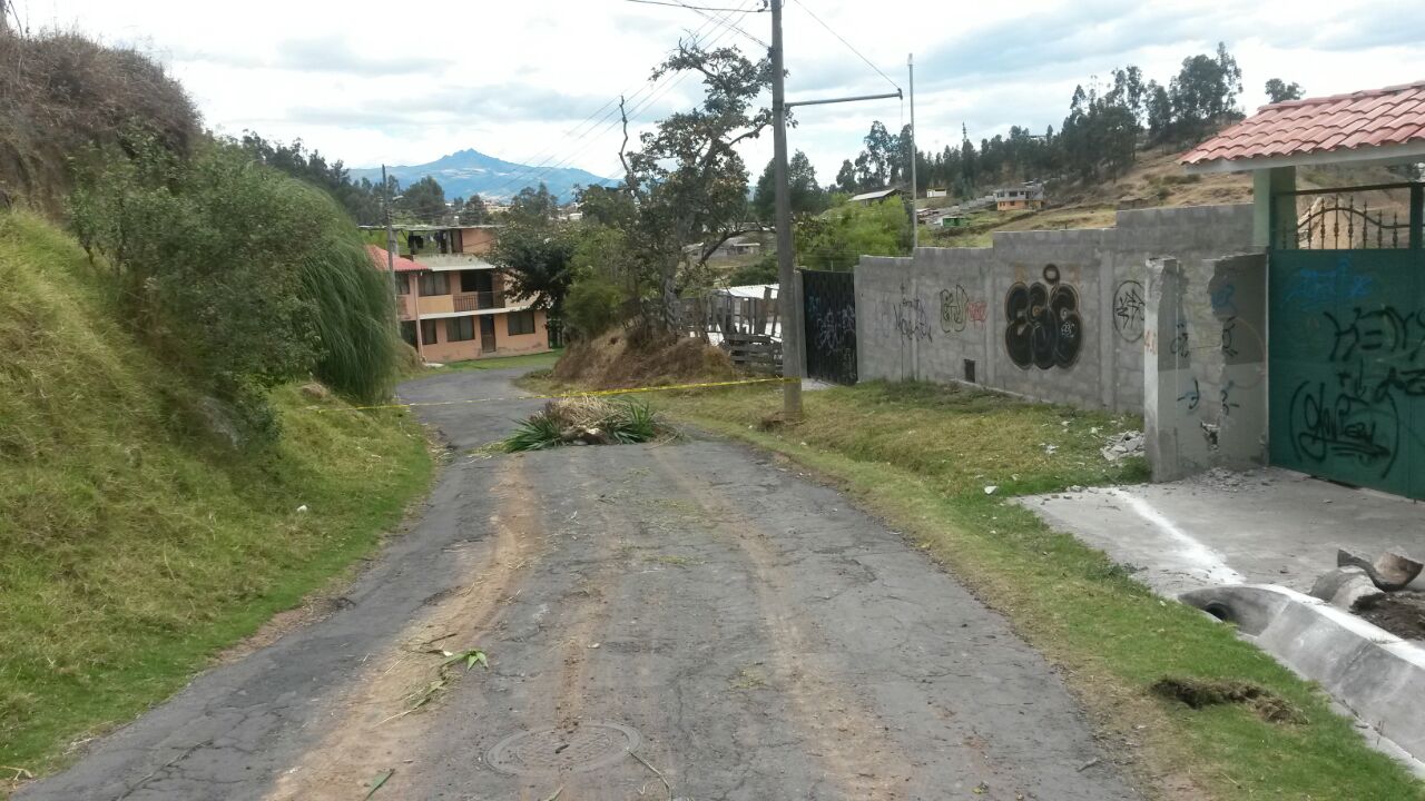 Construcción de bordillos calle César Enrique Balseca