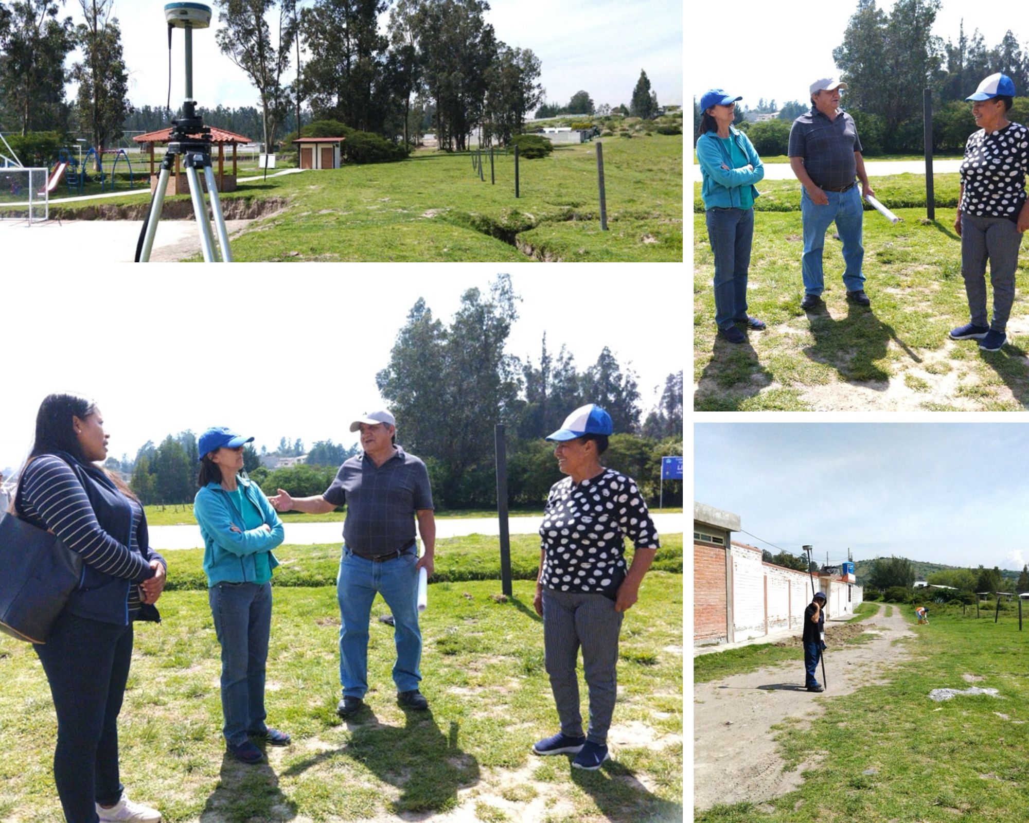 Collage de fotos horizontal Mascota perro Simple Gris 2