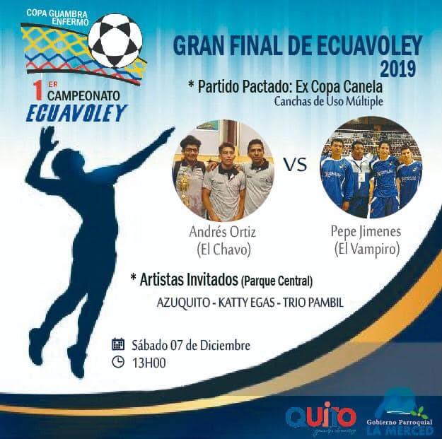 final voley